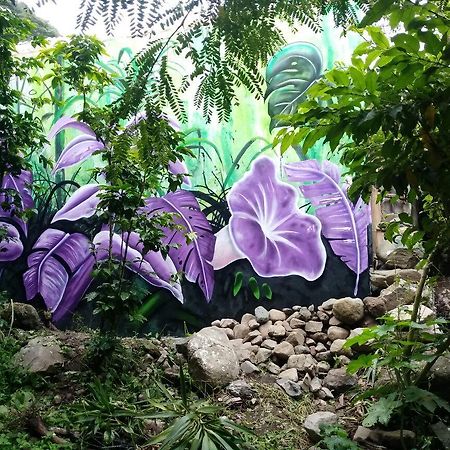 سان ماركوس لا لاغونا Hostel Ahau المظهر الخارجي الصورة