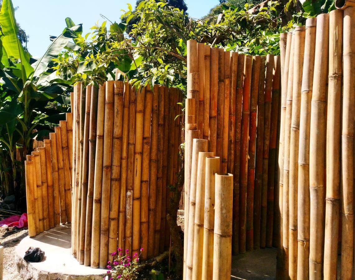 سان ماركوس لا لاغونا Hostel Ahau المظهر الخارجي الصورة