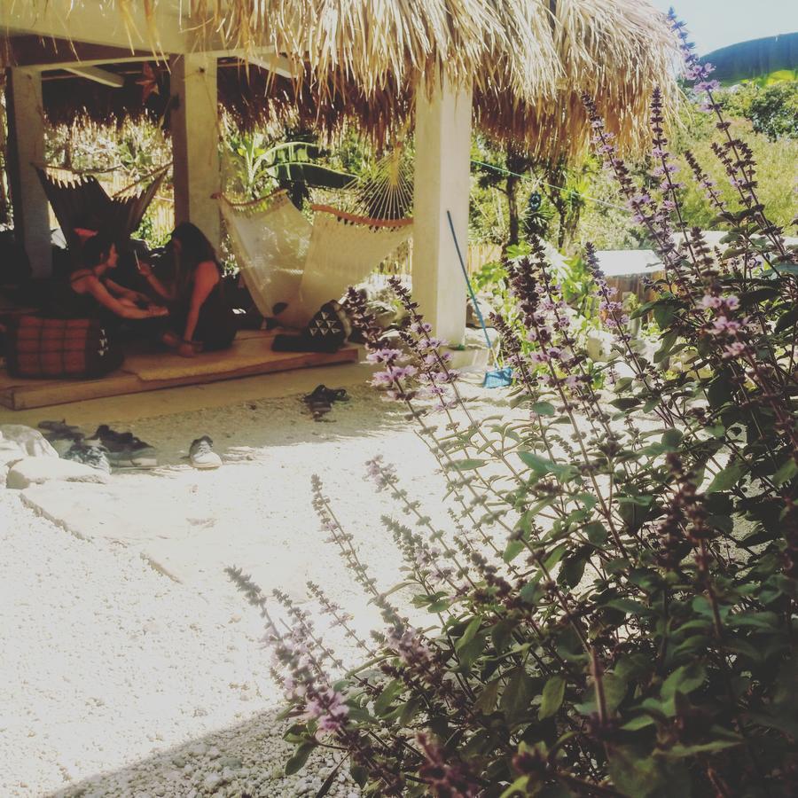 سان ماركوس لا لاغونا Hostel Ahau المظهر الخارجي الصورة
