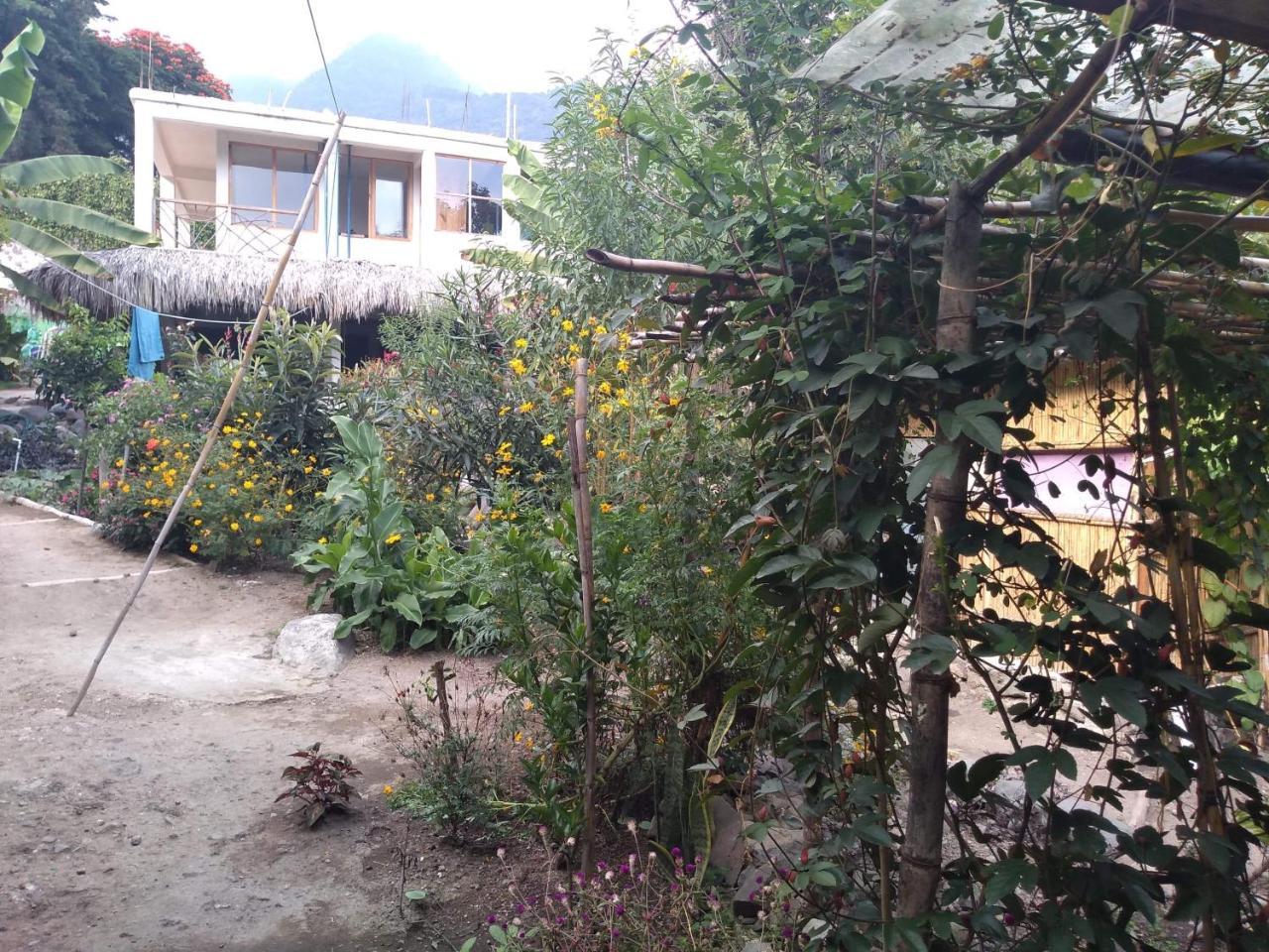 سان ماركوس لا لاغونا Hostel Ahau المظهر الخارجي الصورة